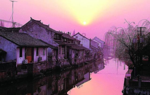 为什么职场老实人干不过职场老油条？游戏画面